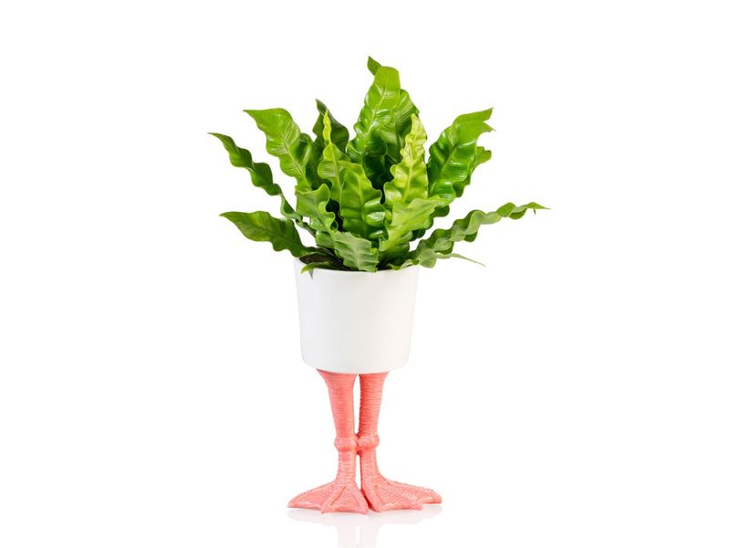 Flamingoføtter blomsterpotte – liten plantepotte