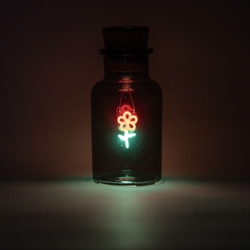 Flower Neon Light in a Glass Bottle