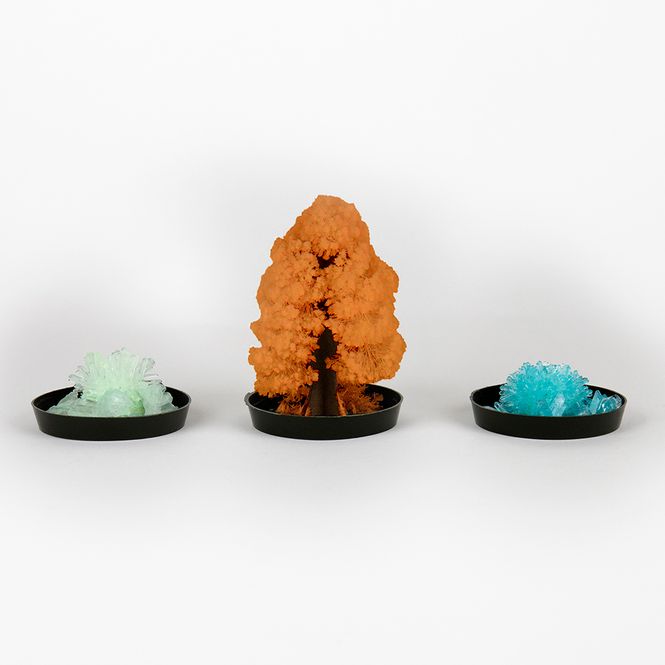 Hovedbilde Grow Your Own Crystals