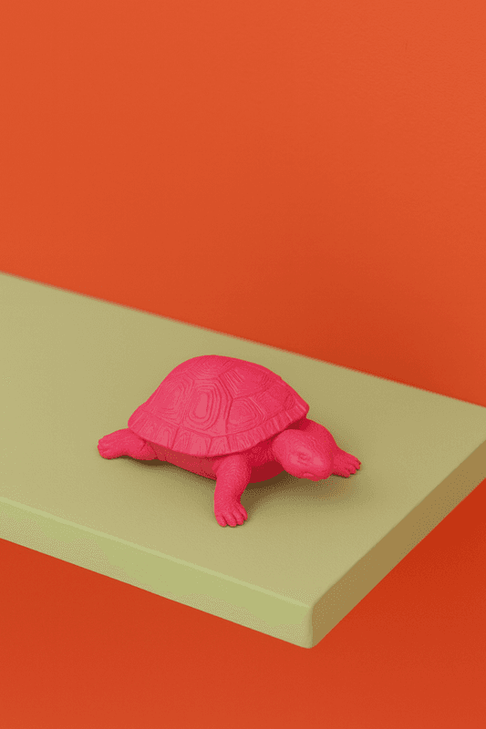 Turtle Box - Neon Pink Polyresin